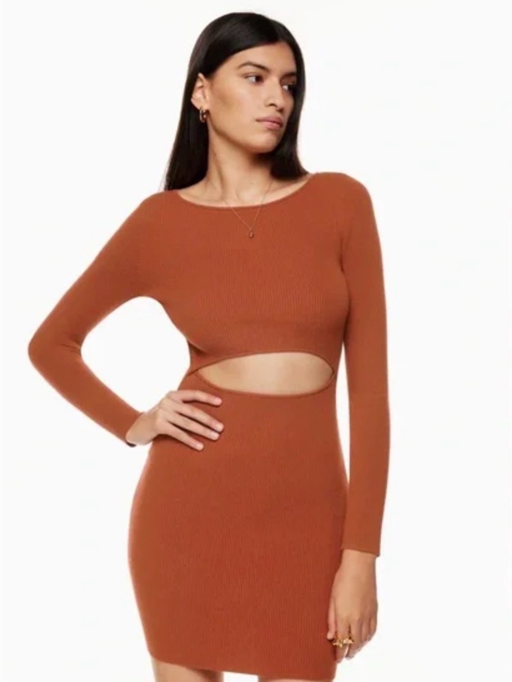 Wilfred Rust Ribbed Knit Mini Dress - Picture 2 of 8